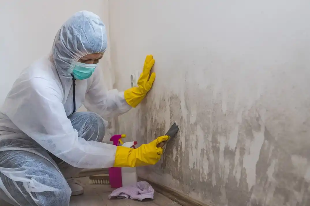 water damage restoration service Tifft